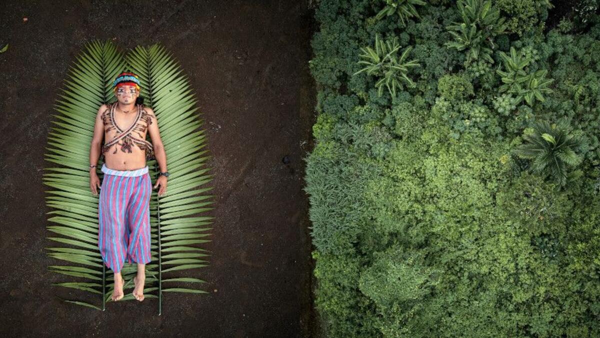 مصوّر العام: للمصوّر "بابلو ألبارينجا" من الأوروغواي / صورة بعنوان "بذور المقاومة"، وأنشأ من خلال تصوير الناشطين البيئيين إلى جانب الأرض التي يخاطرون بحياتهم للدفاع عنها وتم تصويرها من الأعلى.