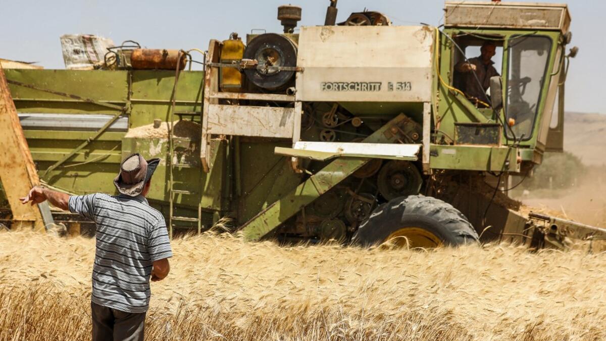 A farmer speaks with another riding in a combine harvester in a wheat field in the countryside of al-Kaswa, south of Syria's capital Damascus, on June 18, 2020. Heavy rain and reduced violence provided a relief to Syrian farmers with a good harvest this year, as a tanking economy leaves millions hungry across his war-torn country. Prior to the outbreak of the conflict in 2011, Syria produced more than 4.1 million tonnes of wheat, enough to feed its entire population. But production plunged to record lows du