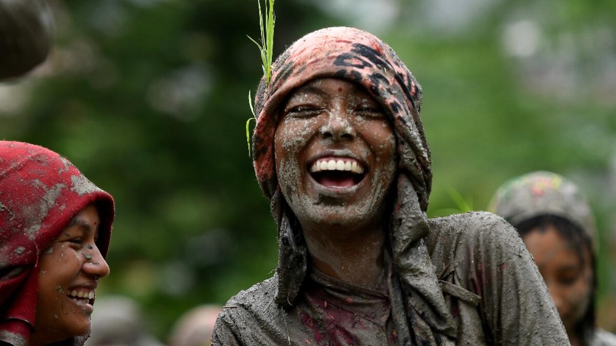 Splashing mud and drinking local rice beer, Nepali farmers this week celebrated National Paddy Day to mark the beginning of the rice-planting season, despite some coronavirus lockdown measures still in place. Traditional farming songs and laughter echoed in the air as farmers waded into waterlogged fields to sow green paddy.  PRAKASH MATHEMA / AFP