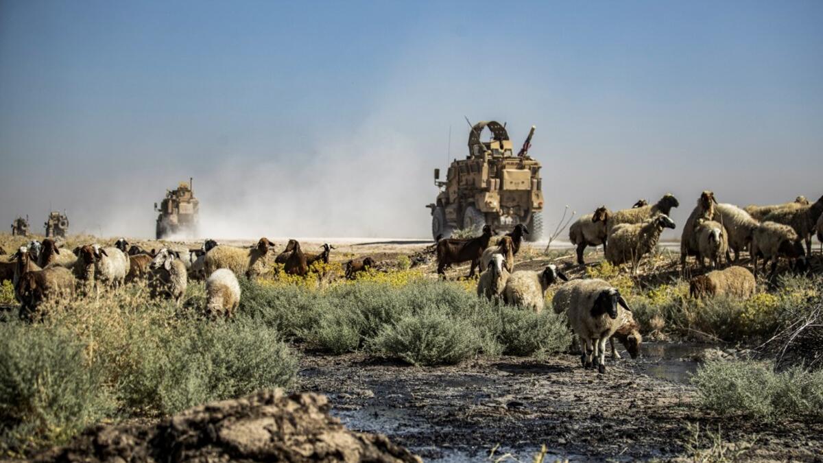 US military vehicle pass by sheep grazing and drinking from a stream polluted by an oil spill near the village of Sukayriyah, in the countryside south of Rumaylan (Rmeilan) in Syria's Kurdish-controlled northeastern Hasakeh province, on July 19, 2020. DELIL SOULEIMAN / AFP
