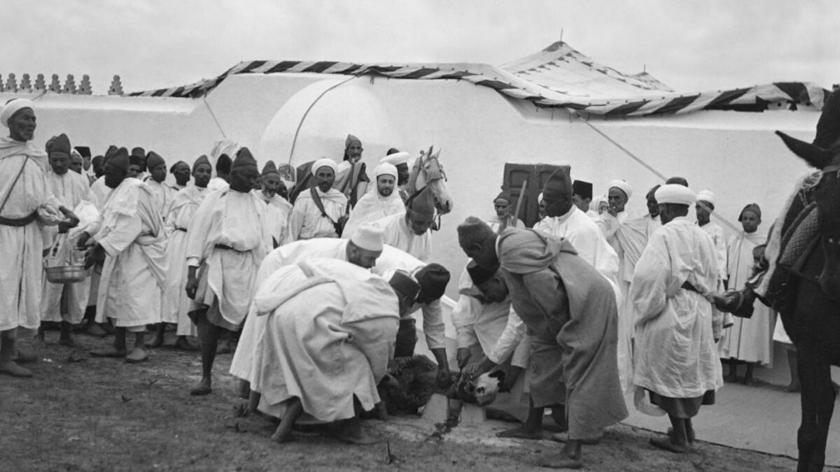 Muslim worshipers slaughter a sheep for the celebrations of the Eid-al-Adha, in November 1945 in Agadir, Morocco. AFP