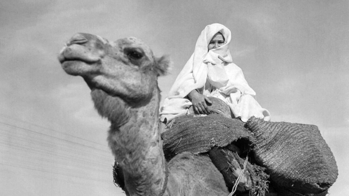 A woman rides a camel in November 1945, near Agadir. AFP