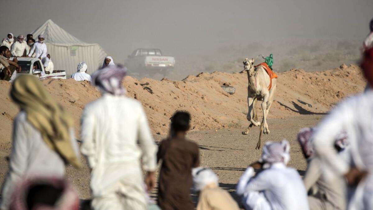Bedouins watch a camel race in Egypt's South Sinai desert on September 12, 2020, after more than six month of hiatus due to the coronavirus outbreak. Camel racing is a traditional sport in many Arab countries, most notably in the Gulf region, and in Egypt, bedouins of the South Sinai desert have kept up the tradition. But race events have been suspended since March following the COVID-19 outbreak, and orders only came down at the beginning of the month that they could resume this weekend. Khaled DESOUKI / A