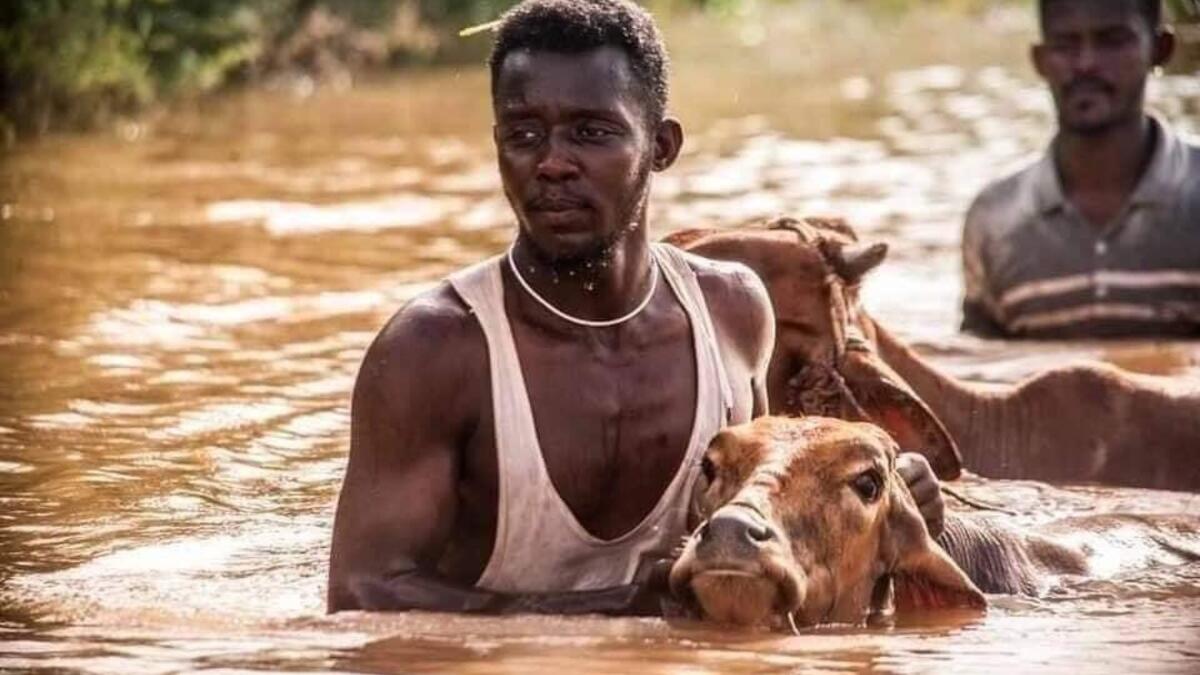 Officials say that across Sudan seasonal floods have killed 94 people, injured 46 and destroyed or damaged over 60,000 homes, with the river level rising to 17.43 metres (57 feet feet). Twitter