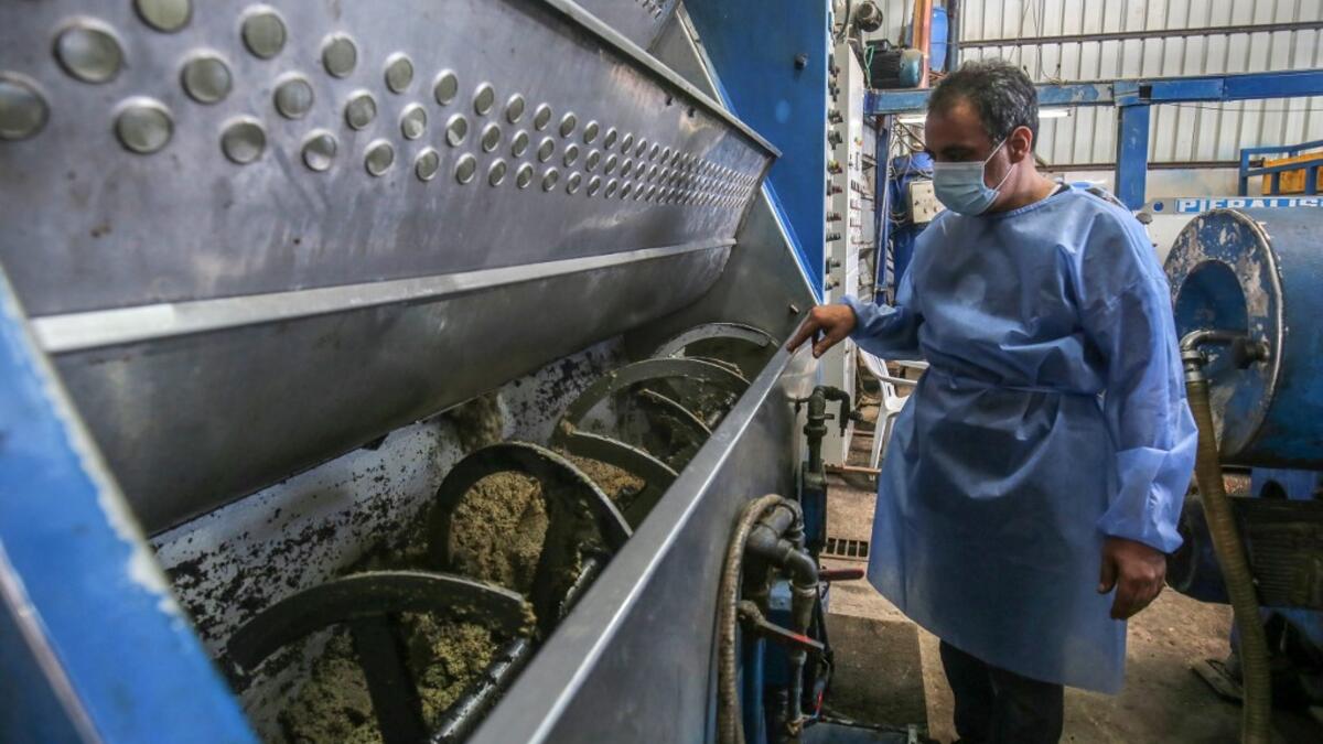 A worker watches as olives are crushed inside a machine at an olive oil factory in Khan Yunis, in the southern Gaza Strip on October 4, 2020. SAID KHATIB / AFP
