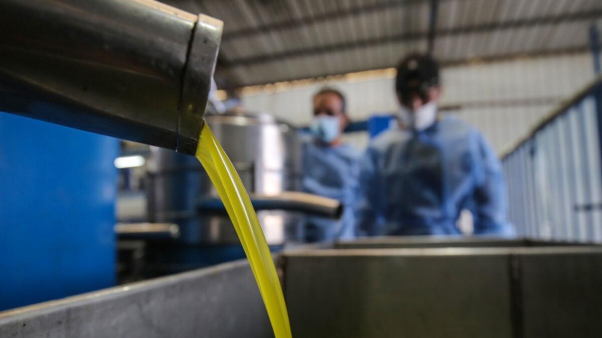 Workers watch as freshly pressed olive oil pours into a container at a factory in Khan Yunis, in the southern Gaza Strip on October 4, 2020. SAID KHATIB / AFP
