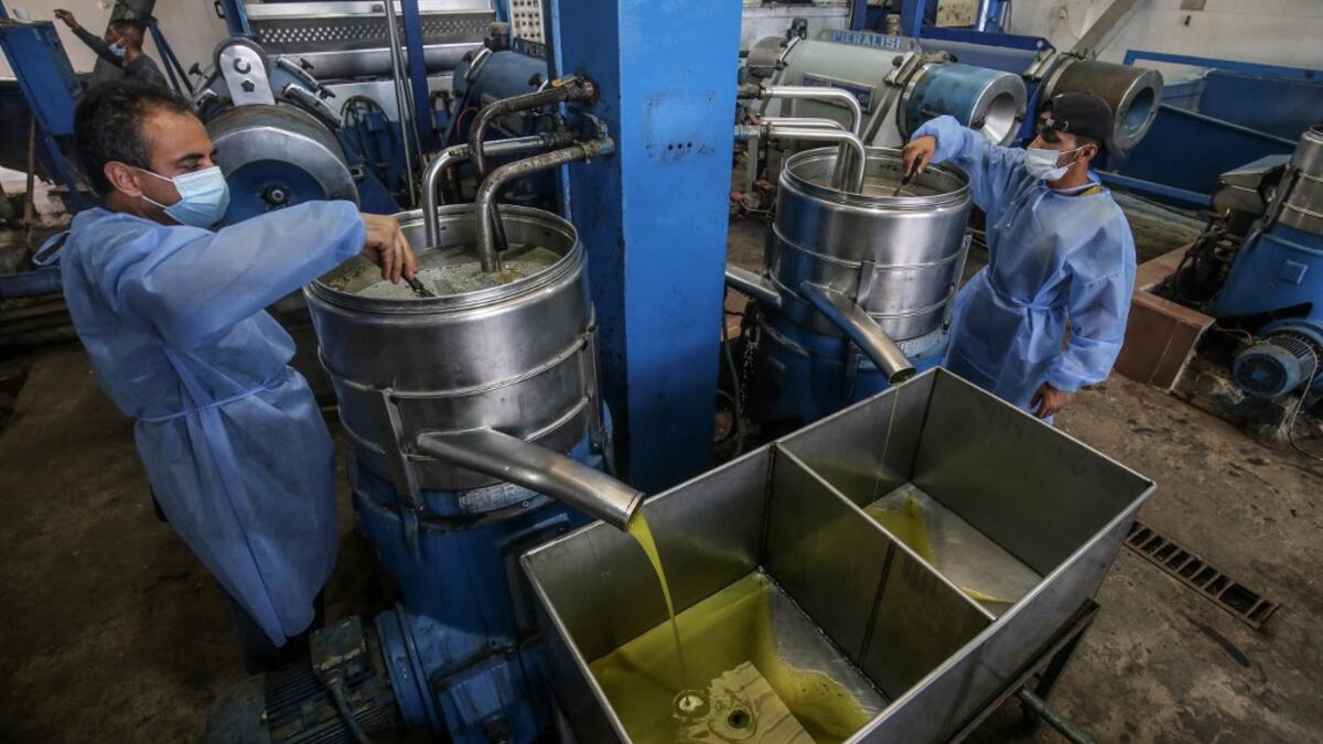 Freshly pressed olive oil pours into a container at a factory in Khan Yunis, in the southern Gaza Strip on October 4, 2020. SAID KHATIB / AFP