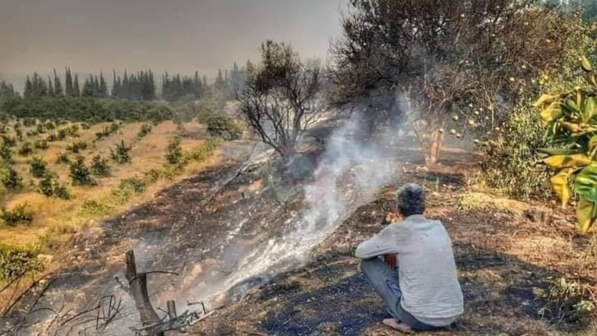 Hundreds of hectares burned in the countryside alongside Syria's coastal Latakia and Tartus provinces and in the central Homs province. (Twitter)