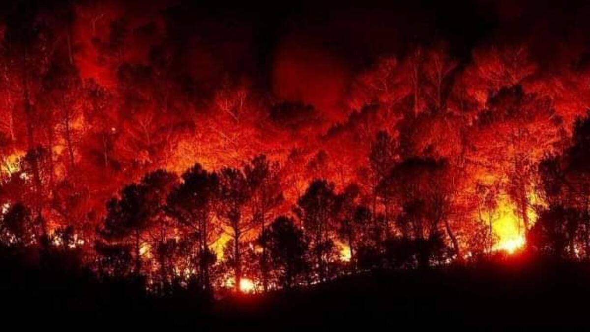 Fires in Syria killed two people. (Twitter)