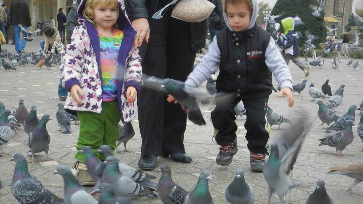 Children are feeding pigeons in the city center of  Timișoara, Romania/Photo by Ewelina Lepionko