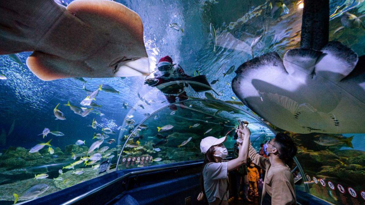 Visitors take photos as a diver wearing a Santa Claus outfit, as part of Christmas celebrations, feeds fish inside a tank at the Aquaria KLCC in Kuala Lumpur on December 23, 2020. Mohd RASFAN / AFP