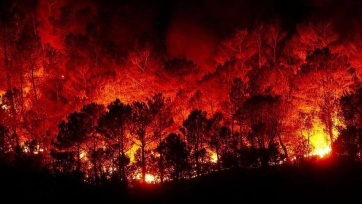 الحرائق في سوريا: اندلع 2480 حريقًا في محافظات حمص وطرطوس واللاذقية وحماة في أكتوبر خلال عام 2020، وأسفرت الحرائق عن مقتل 4 أشخاص وإصابة أكثر من 80 آخرين بالاختناق ونزوح 25 ألف شخص وتضرر 140 ألف آخرين، بالإضافة إلى تضرر 252 قرية واحتراق مليونين و100 ألف شجرة مثمرة.