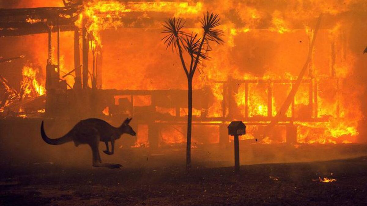 حرائق أستراليا: اندلعت حرائق شديدة في أستراليا منذ بداية العام واستمرت لأكثر من 3 أشهر، وأسفرت عن تدمير أكثر من 18 مليون هكتار من الغابات، وخلفت 34 قتيلًا على الأقل، بالإضافة إلى مقتل أعداد كبيرة من الحيوانات.