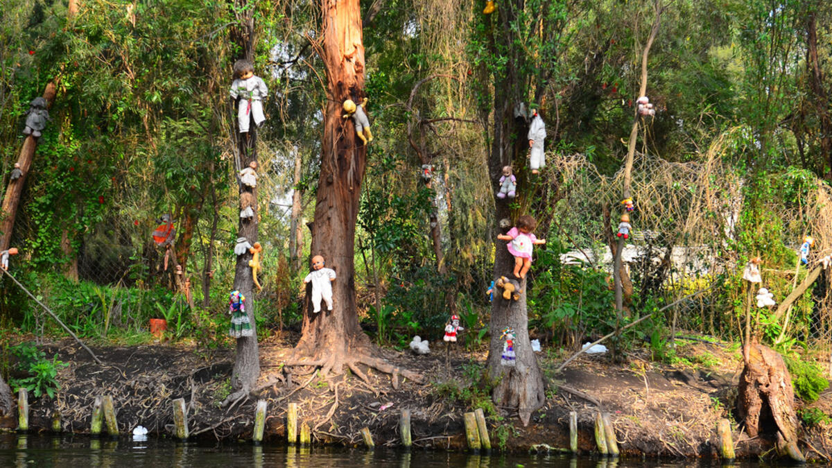 A few miles from the heart of Mexico City lies La Isla de las Muñecas, the Island of Dolls, where thousands of dolls hang from the trees. (Shutterstock)