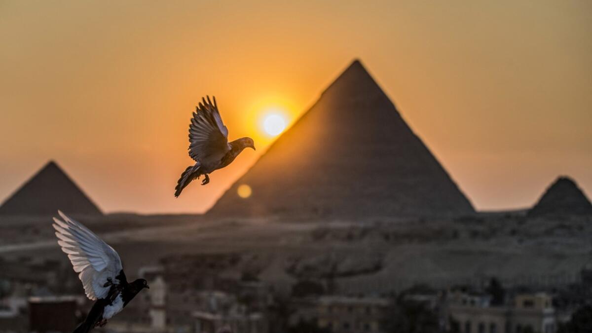 Pigeons above the skies of the Egyptian capital twin city of Giza