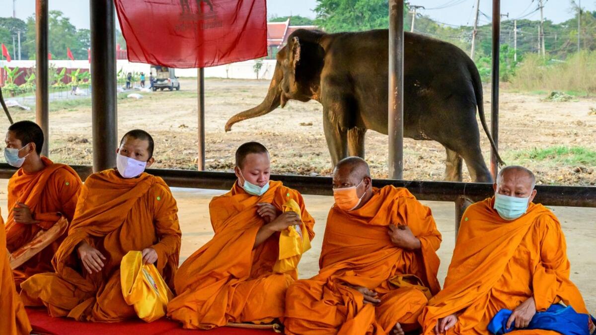 Buddhist monks chant during a ceremony