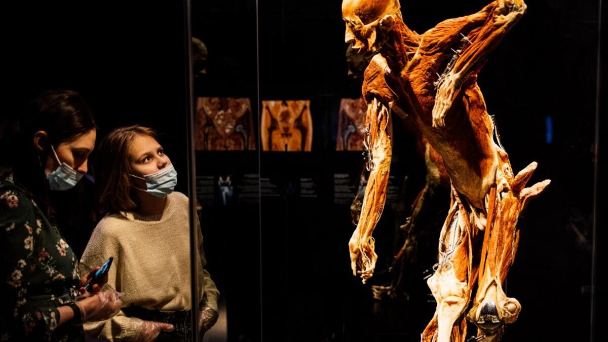 People visit the "Body Worlds", the anatomical art exhibition of plastinated human bodies