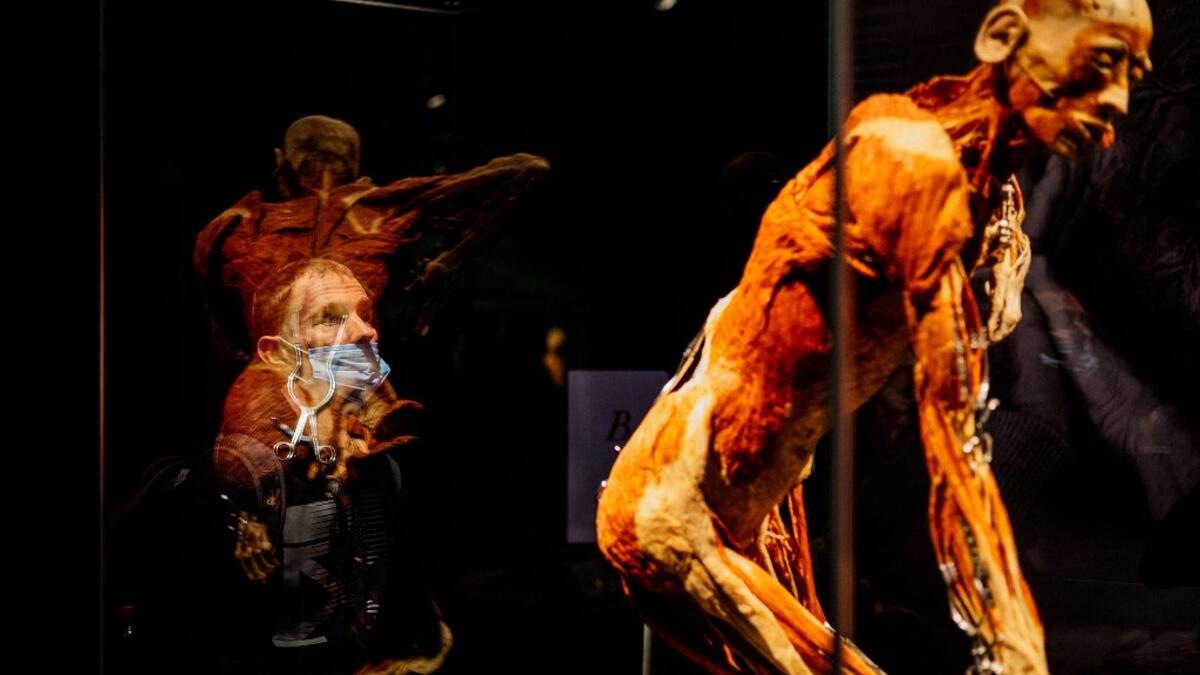 People visit the "Body Worlds", the anatomical art exhibition of plastinated human bodies