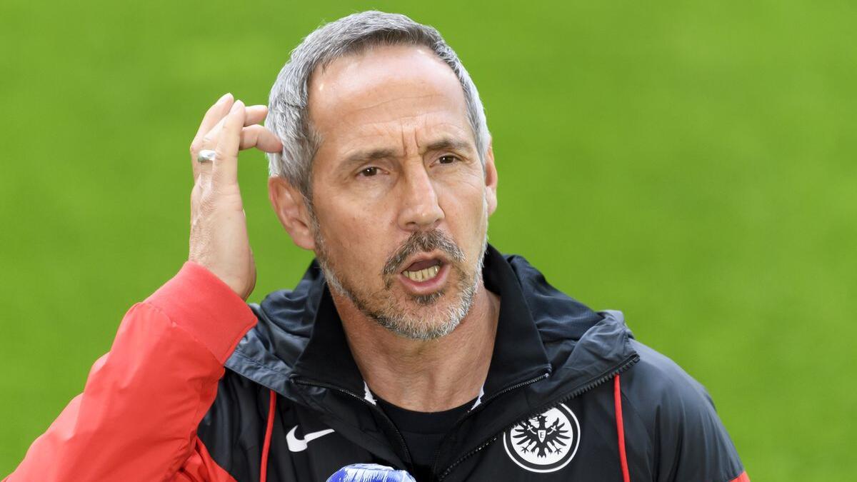 آدي هوتر: من آينتراخت فرانكفورت إلى بوروسيا مونشنغلادباخ عام 2021 مقابل 7.5 مليون يورو