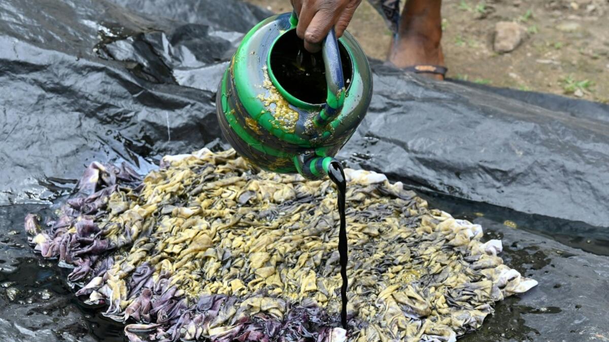 Dyers dye cotton fabric at Pathe'O house in the popular district of Treichville in Abidjan on March 31, 2021. A small self-taught tailor in his early years, the Ivorian-Burkinabe Pathe'O became the designer of African heads of state and celebrates the fiftieth anniversary of his brand, leading the "fight" for the recognition of fashion on the continent