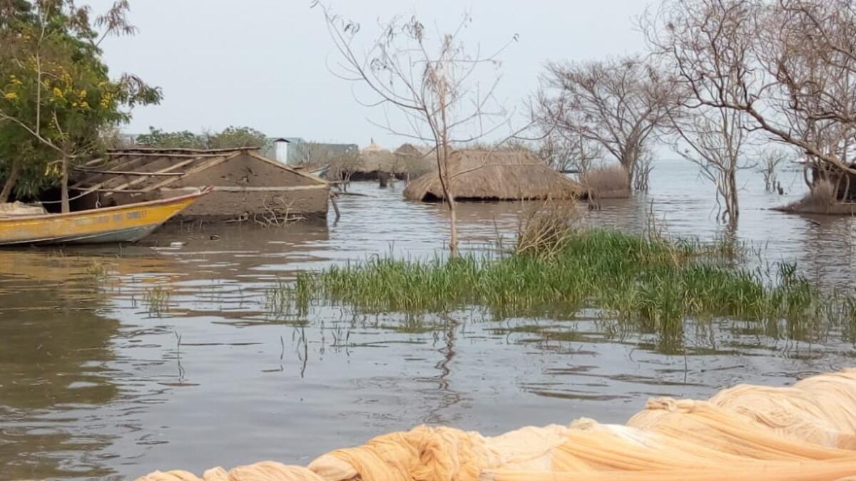 أوغندا: فاضت الأنهار في المنطقة الغربية من أوغندا، مما أدى إلى إغراق مناطق واسعة من مقاطعة كاسيسي. وفي الوقت نفسه، تسبب ارتفاع منسوب بحيرة كيوجا في إخلاء مئات الأسر في المنطقة الشمالية.