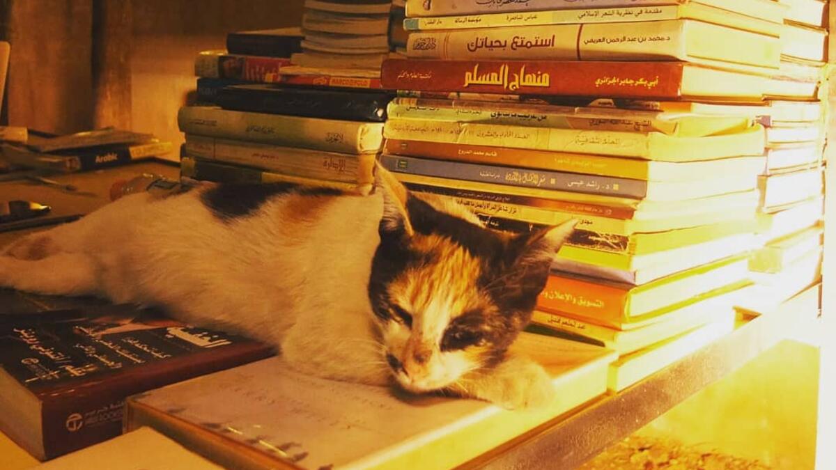 It was the first and only bookstore in town