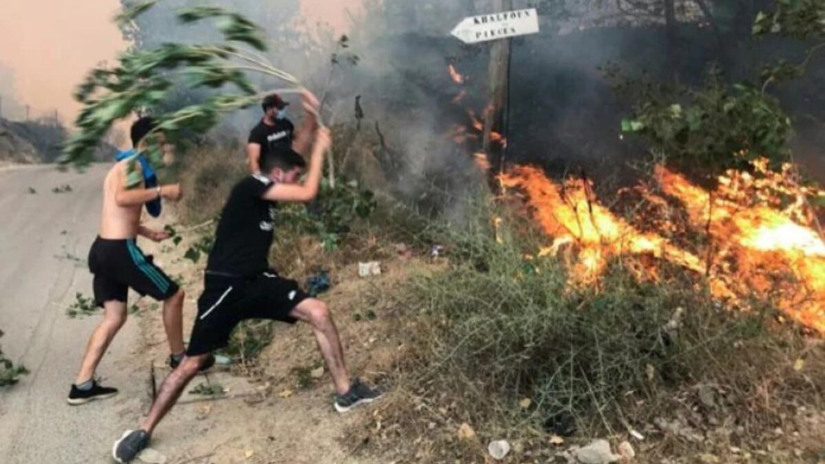 وبحسب المؤشرات الأولية، فإن هذه الحرائق تحمل "طابعًا إجراميًا"، حيث أكد رئيس الوزراء أيمن بن عبدالرحمن عن "أياد إجرامية" تقف وراء الحرائق في البلاد.