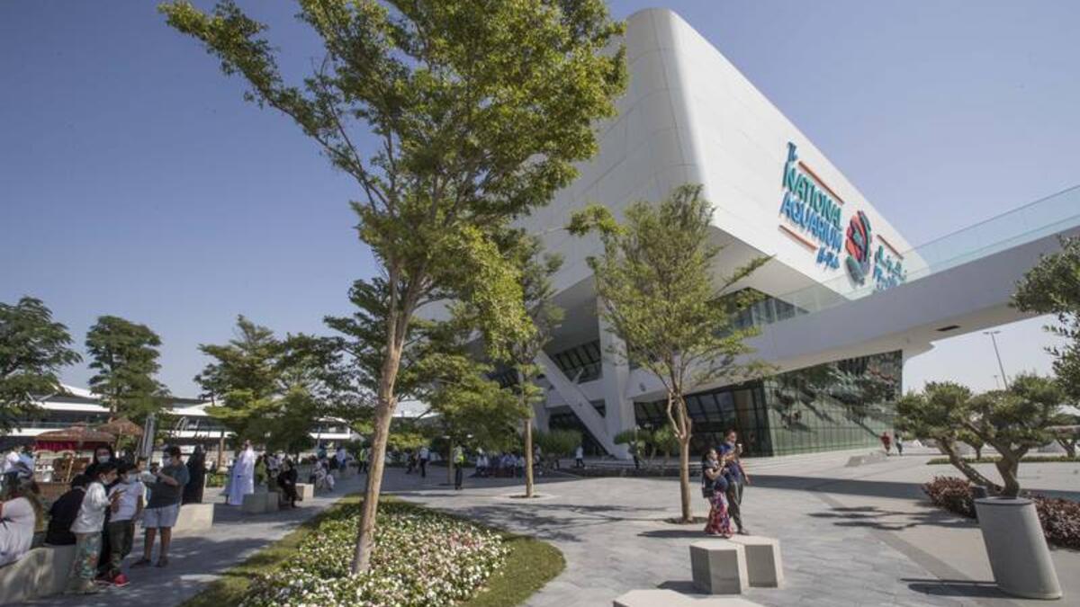 الأكواريوم الوطني أبوظبي سيقدم عروضًا استثنائية لأكثر من 46000 مخلوق بحري وتجارب تفاعلية وجولات في القوارب الشراعية في الفترة ما بين 2-4  ديسمبر؛ 10 صباحًا - 10 مساءً؛ مقابل 105 درهم.