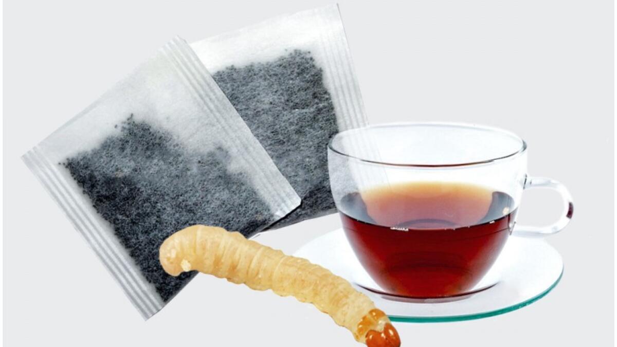 شاي فضلات البق: مصنوع بالفعل من فضلات البق، ويتكون من براز يرقات عثة الحبوب التي تتغذى على أي شيء آخر غير أوراق الشاي العضوية.