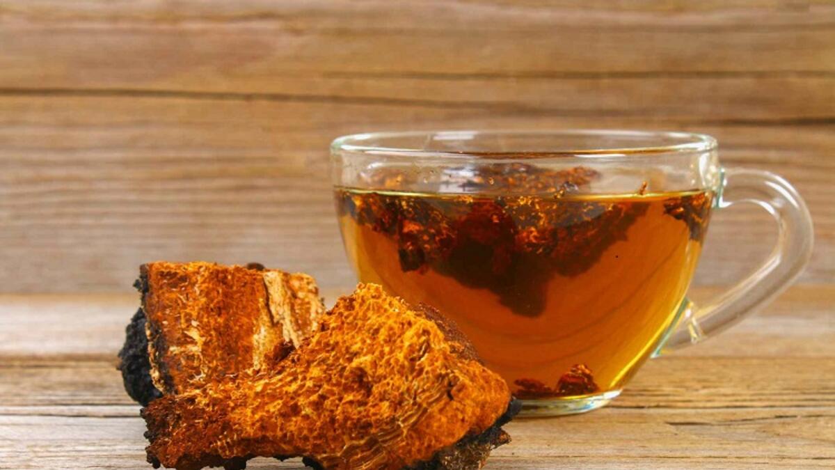 شاي الفطر: مصنوع من فطر سيلوسيبين المخدر القوي، ويصنف بأنه غير قانوني في بعض البلدان؛ لذلك يفضل الابتعاد عن شرب هذا الشاي.