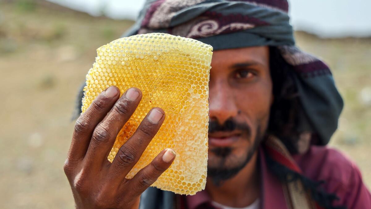 honey production