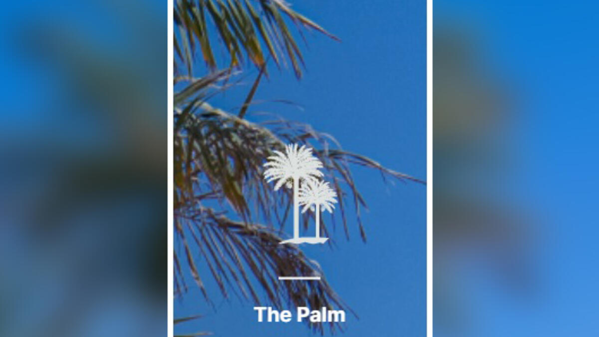 شجرة النخيل: تشير إلى الاهتمام الشديد الذي يوليه القطريون بأشجار النخيل التي ترمز عادة للسخاء والعطاء والكرم والجود، وكذلك الأصالة العربية.