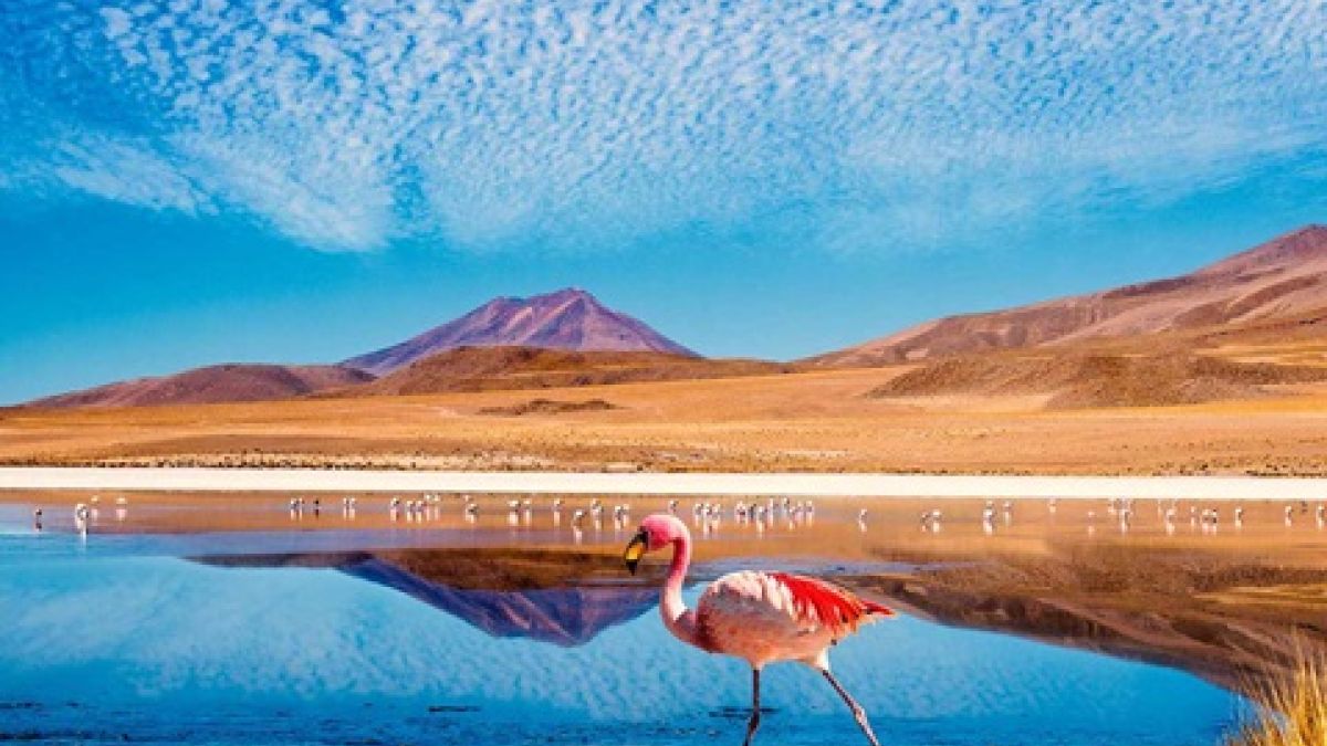 Atacama Desert, Chile