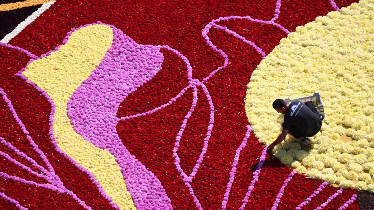 Marcel, an older volunteer from Sint-Pieters-Leeuw, finds it manageable. "It's not bad, especially with the sunny weather," he told The Brussels Times. "This is my first time, and I already want to volunteer again."