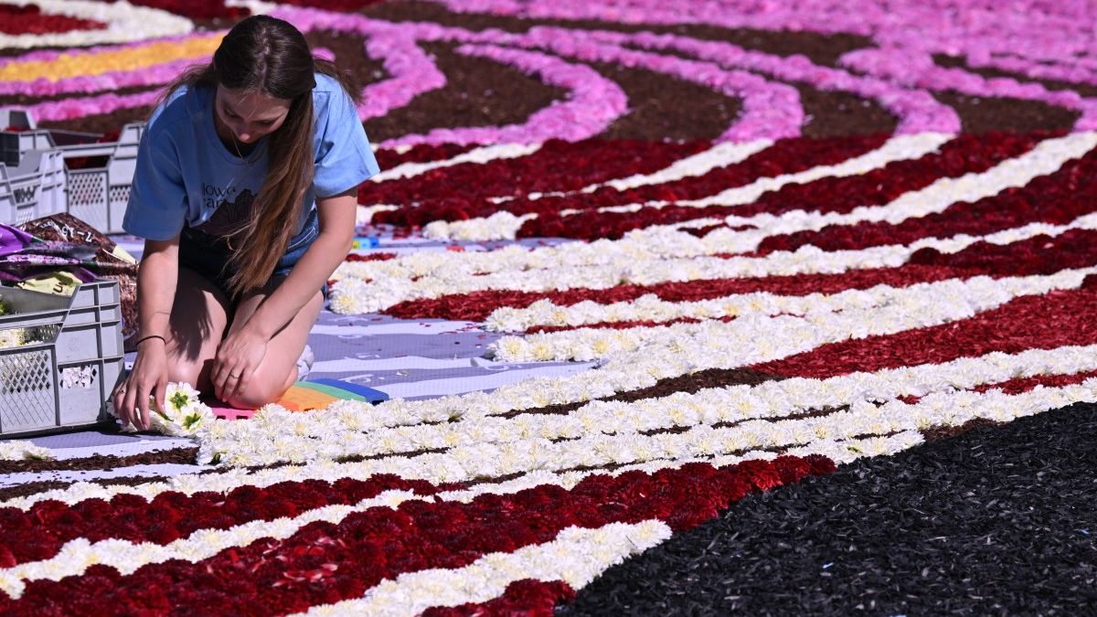 Kelly, a first-time volunteer, explained the process: "It's like painting by numbers, using codes for flowers or bark." Despite recent rain causing a flower shortage, volunteers adapt by creatively filling gaps. Volunteers kneel on foam mats, but it's still tiring, Kelly admitted. "I keep changing positions—kneeling, standing, lying down, then sitting. We'll be sore tomorrow, but it's worth it!"
