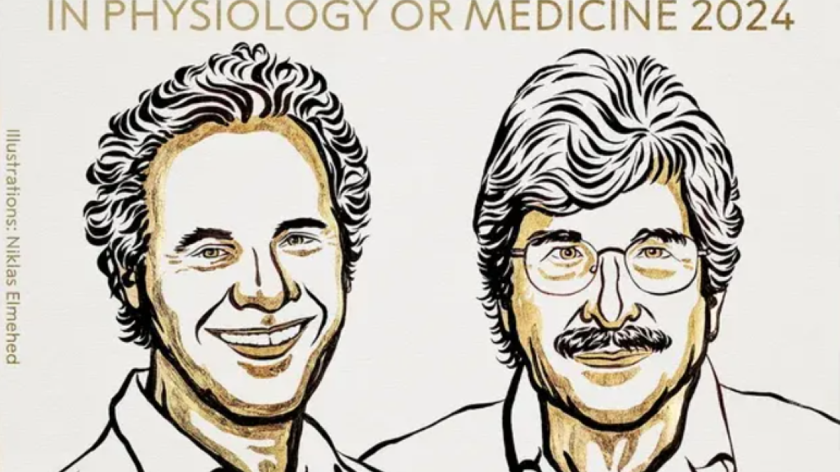 جائزة نوبل للطب: الأميركيين فيكتور أمبروس وغاري رافكن جائزة نوبل الطب، لاكتشافهما الحمض الريبوزي النووي الميكروي (microRNA)، وهي فئة جديدة من جزيئات الحمض النووي الصغيرة تؤدي دورا حاسما في تنظيم نشاط الجينات.