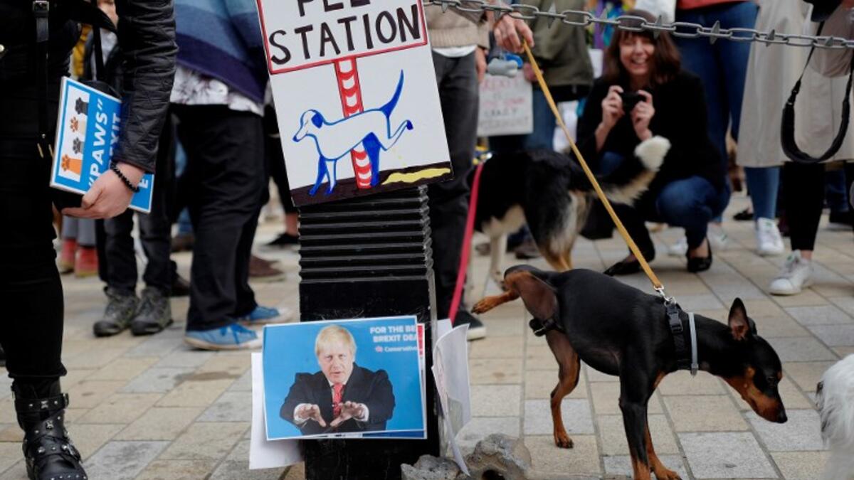 A dog urinates on images of pro-Brexit supporters Nigel Farage and Boris Johnson as dog owners and their pets gather before participating in a pro-EU, anti-Brexit march, calling for a "People's Vote on Brexit". (Tolga AKMEN / AFP)