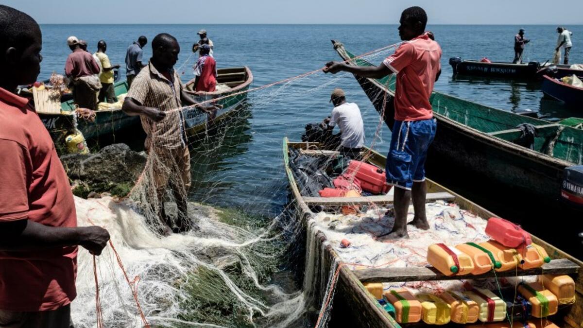 A picture taken on October 5, 2018, shows fishermen preparing their nets on Migingo island which is densely populated by residents fishing mainly for Nile perch in Lake Victoria on the border of Uganda and Kenya. 
Yasuyoshi CHIBA / AFP