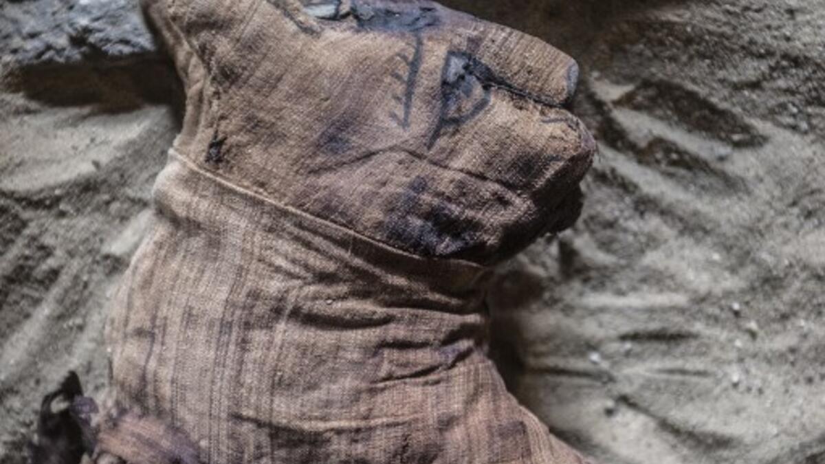 Mummified cats are seen during the demonstration of a new discovery made by an Egyptian archaeological mission. (KHALED DESOUKI / AFP)