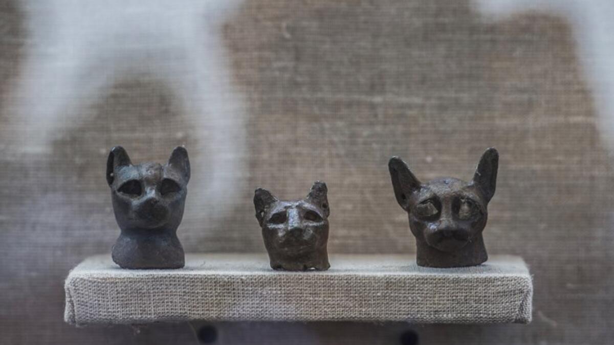 Bronze statues of cats are displayed during the demonstration of a new discovery made by an Egyptian archaeological mission on November 10, 2018. (KHALED DESOUKI / AFP)