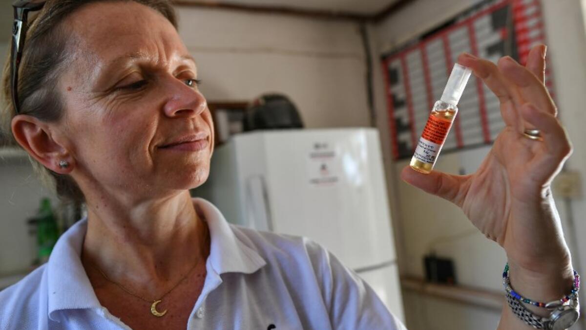 Clare, a nurse and wife of the Bio-Ken Snake Farm Director holds a vile of an anti-venom at the farm where snakes' venom is extracted for research and manufacture, on February 14, 2019, in Kenya's coastal town of Watamu, Kilifi county. 
TONY KARUMBA / AFP