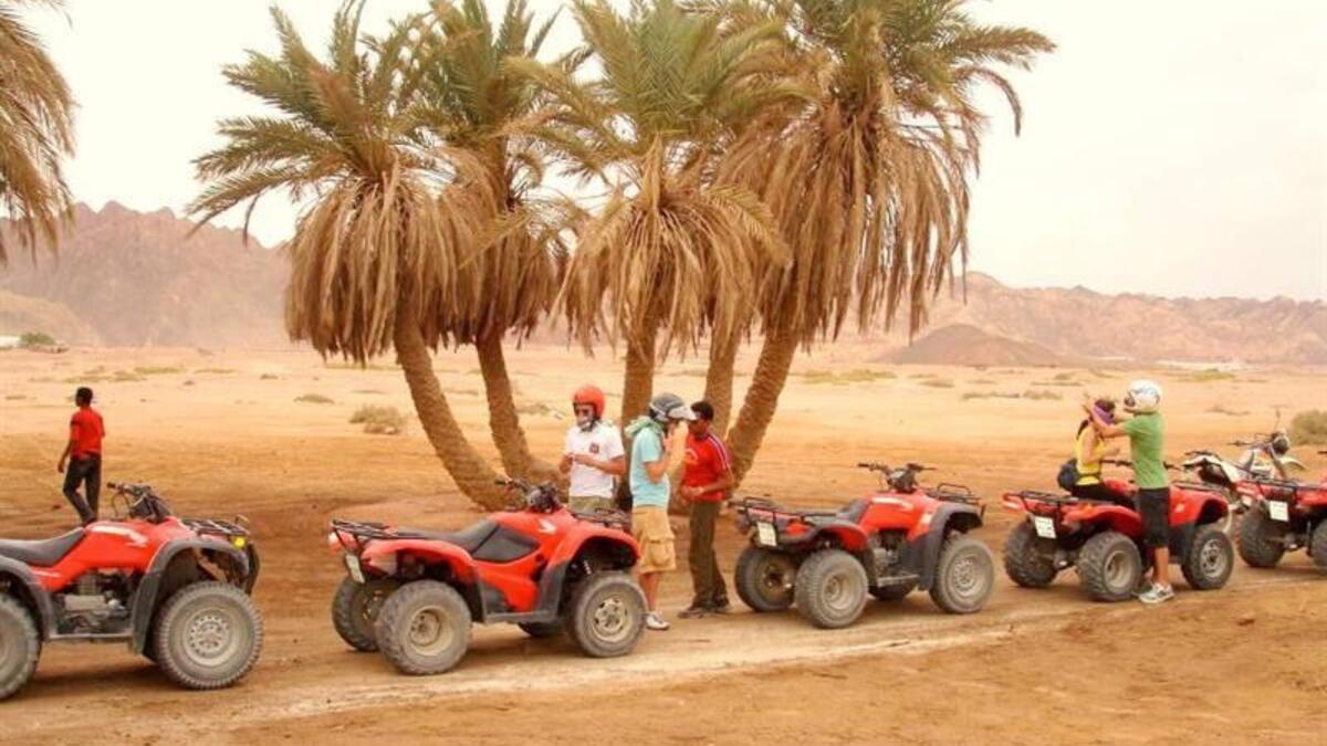 يحتوي على منطقة سفاري كبرى، تُغني المواطنين عن السفر إلى إفريقيا، إضافة إلى أكثر أنواع التخييم رفاهية، ومنها ما هو داخل الكهوف.