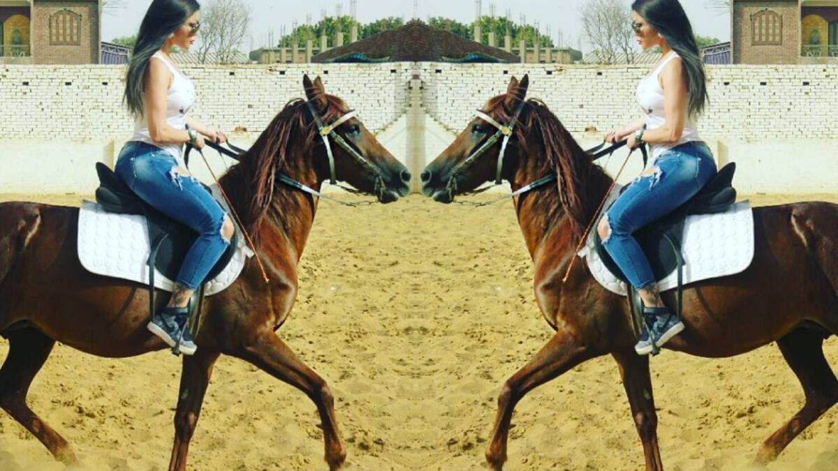 نشرت النجمة هيفاء وهبي عبر حسابها على احد مواقع التواصل الاجتماعي صورا مع الحصان الجديد “عسلية” وذلك في احد اسطبلات الخيل بجوار اهرامات الجيزة وأعربت هيفاء عن سعادتها لممارسة الفروسية في مصر وعلقت على الصورة: “مع صديقتي ا لجديدة عسلية”.