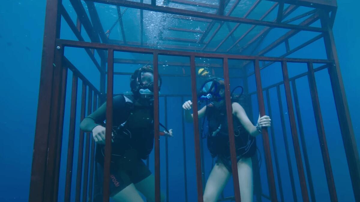 47 Meters Down: أختان تقرران الغوص داخل البحر في قفص من أجل مشاهدة أسماك القرش لـ5 دقائق ، إلا أن خللًا يتسبب في غرق القفص إلى مسافة تقدر بـ47 مترًا.