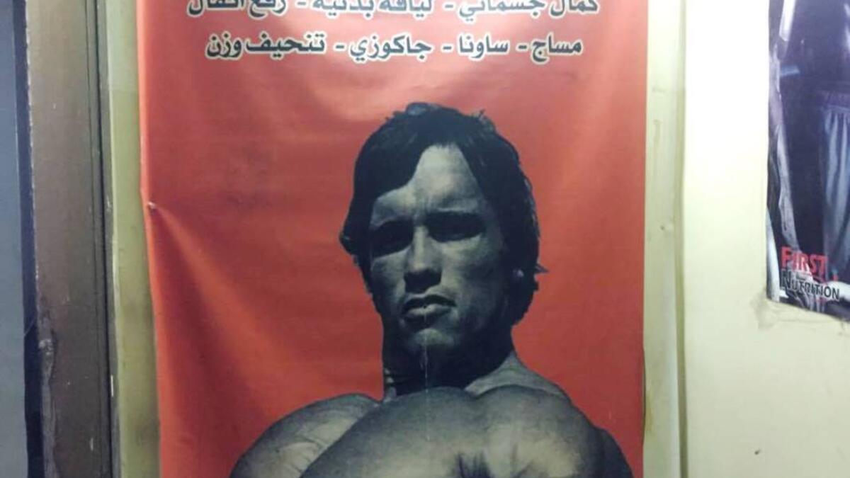 Arnold Schwarzenegger