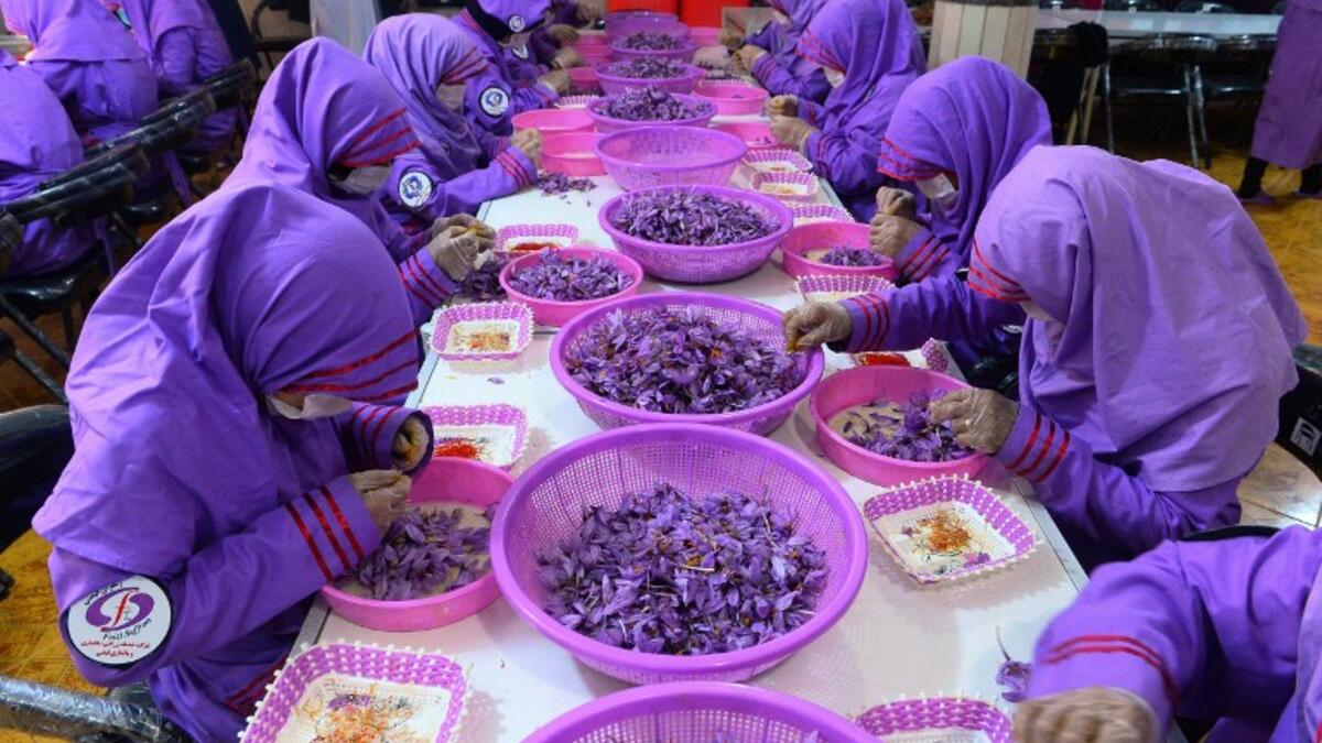 In this photograph, Afghan workers separate saffron threads from harvested flowers at a processing centre in Herat province. 
HOSHANG HASHIMI / AFP