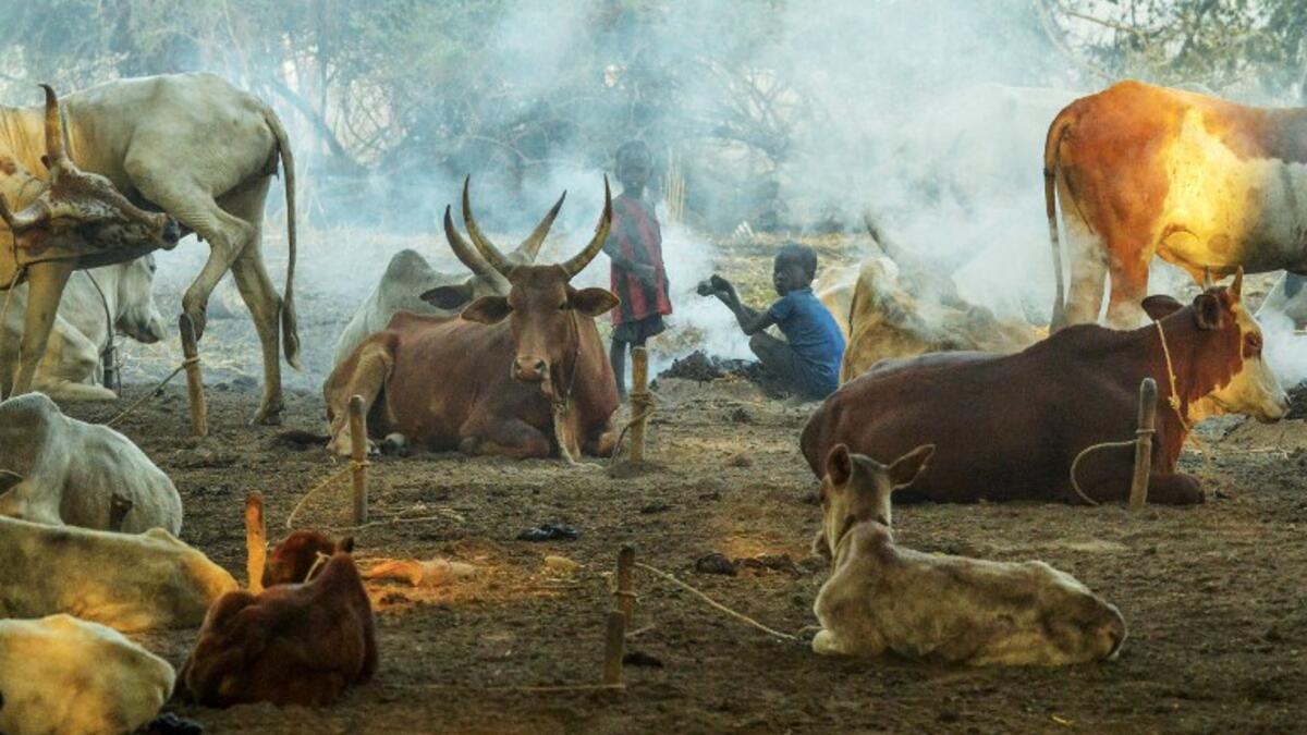 Children warm themselves beside a fire near a herd of cows at Dirkier cattle camp in Udier, South Sudan 
SIMON MAINA / AFP