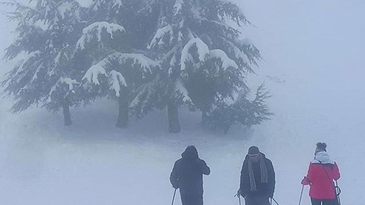 Beautiful winter in Lebanon (Twitter)