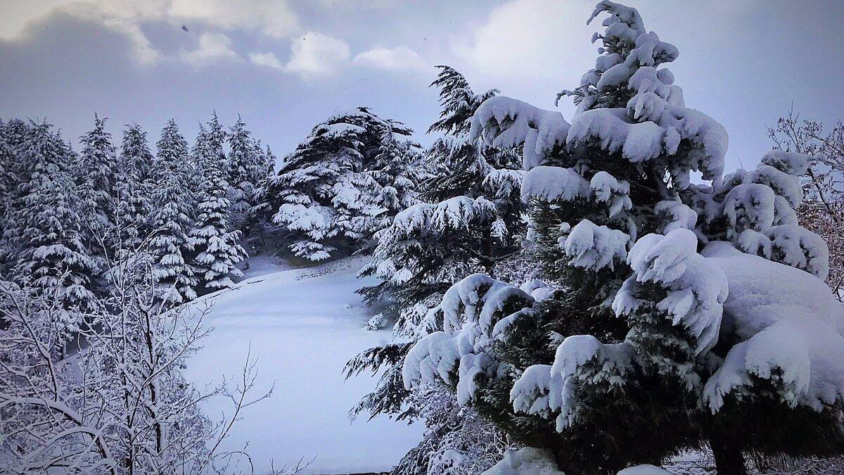 The power of white in a country full of colors Lebanon (Twitter)
