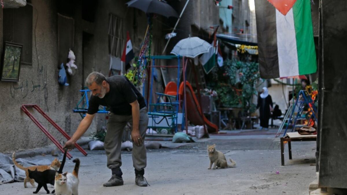 A man plays with cats in a street in the Palestinian camp of Yarmuk southern Damascus on November 1, 2018. 
LOUAI BESHARA / AFP